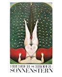 F.S-ゾンネンシュターン 〔骰子の7の目 シュルレアリスムと画家叢書〕 (シュルレアリスムと画家叢書 骰子の7)